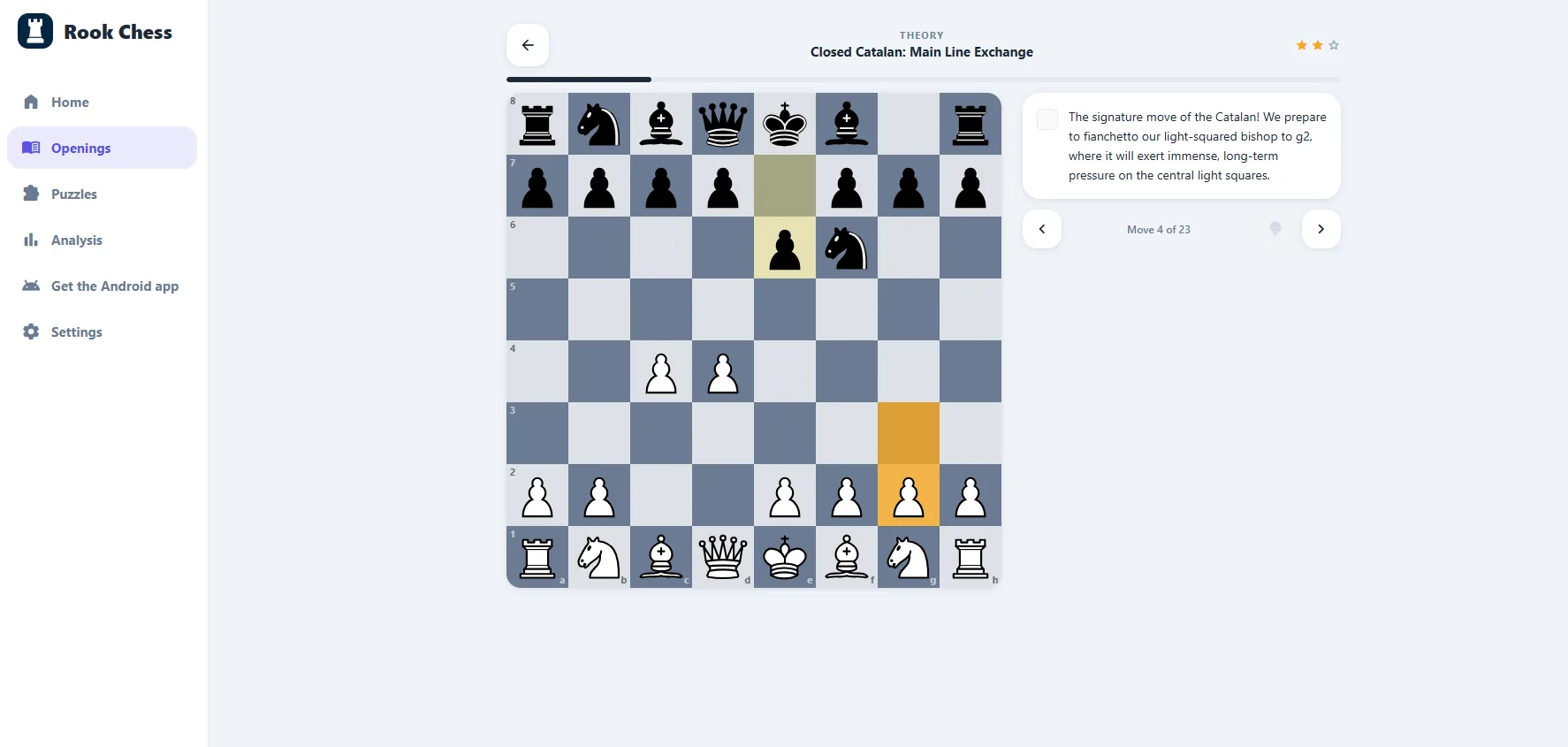 Rook Chess on a laptop